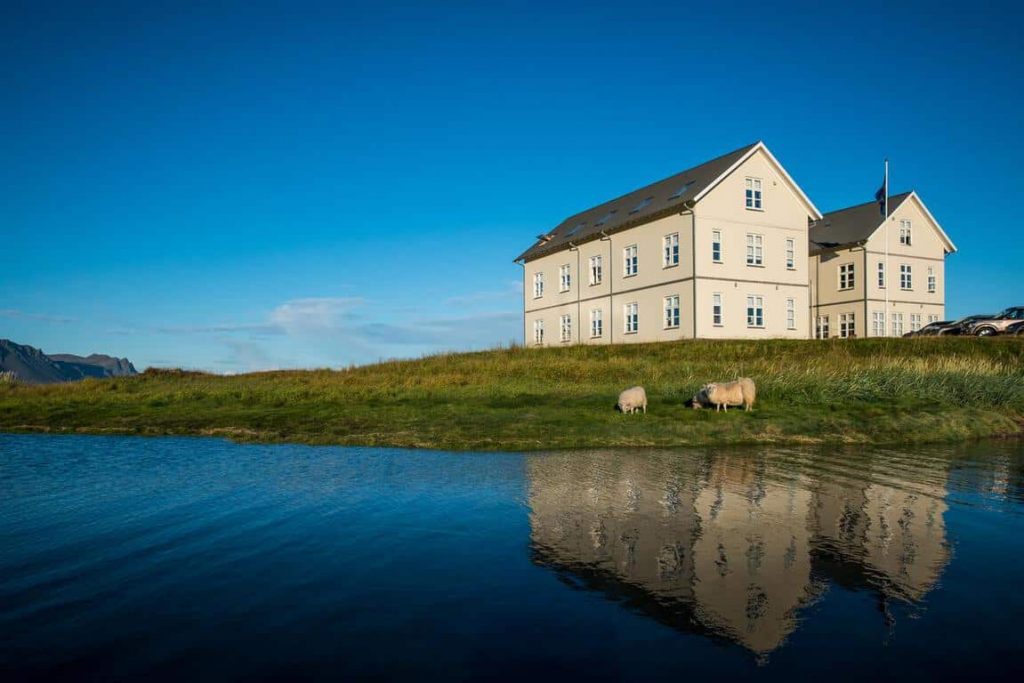 2 white buildings on grassy shore with 3 sheep grazing near the water on a sunny day