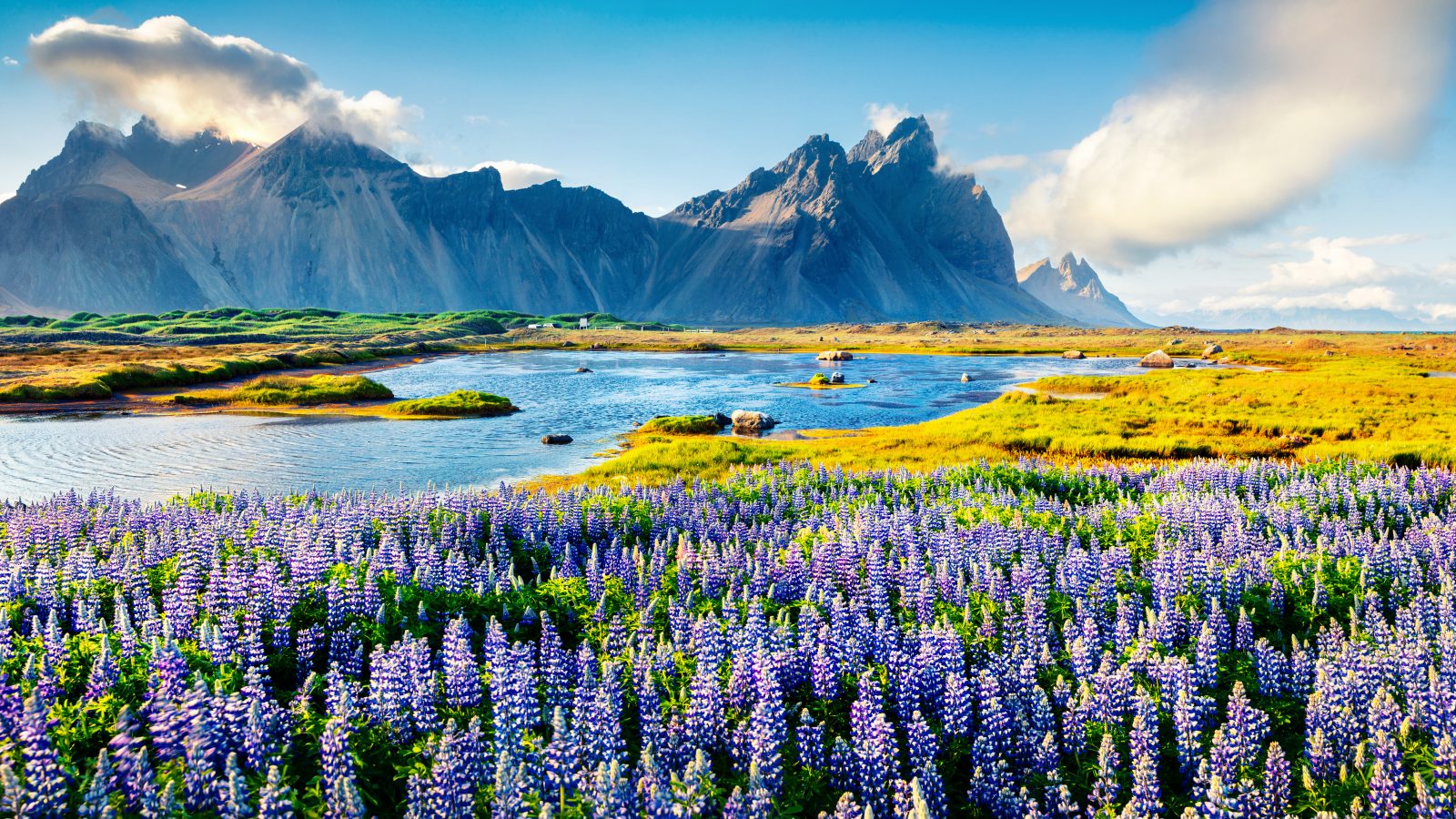 Mountains and meadows in Iceland