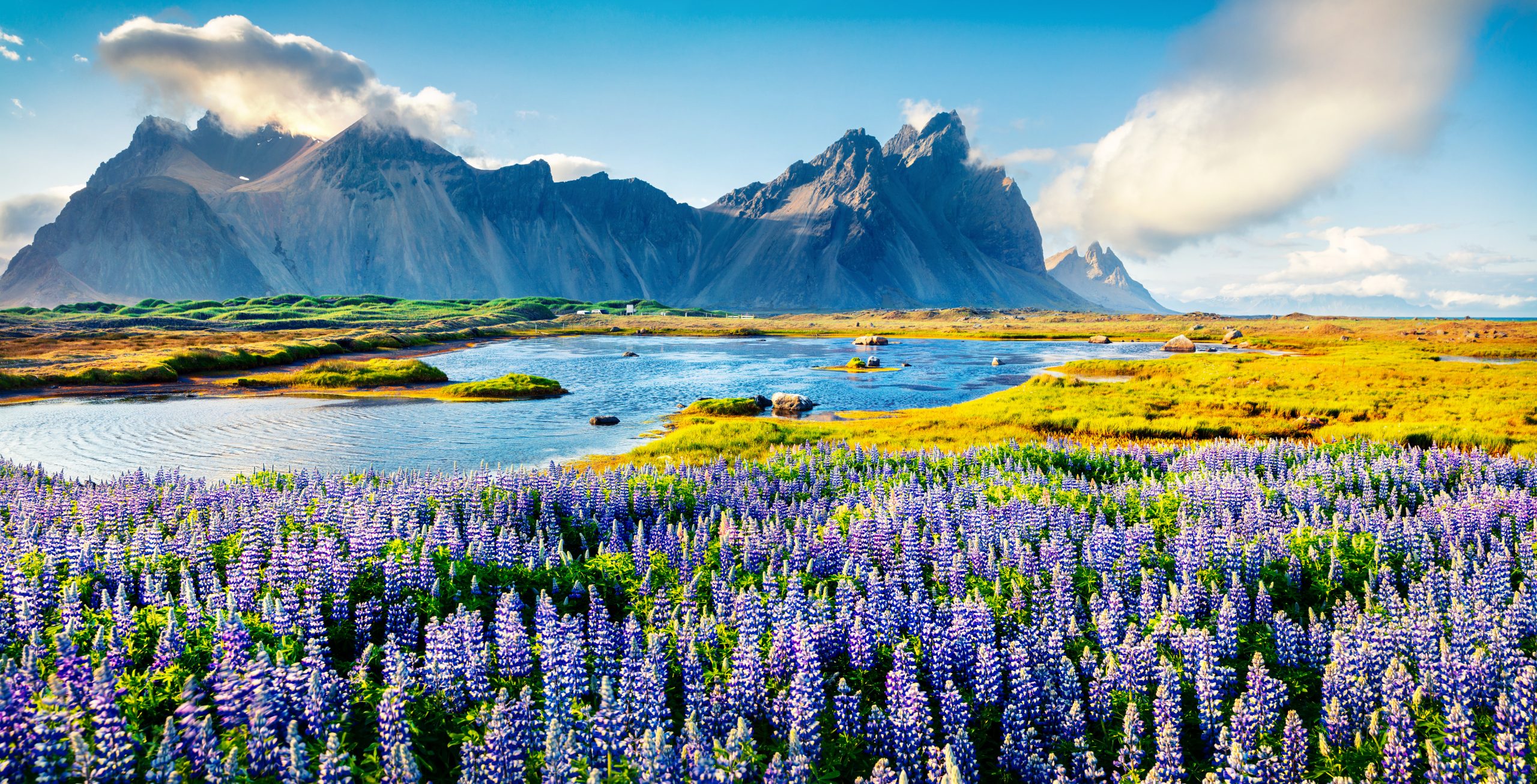 Mountains and meadows in Iceland