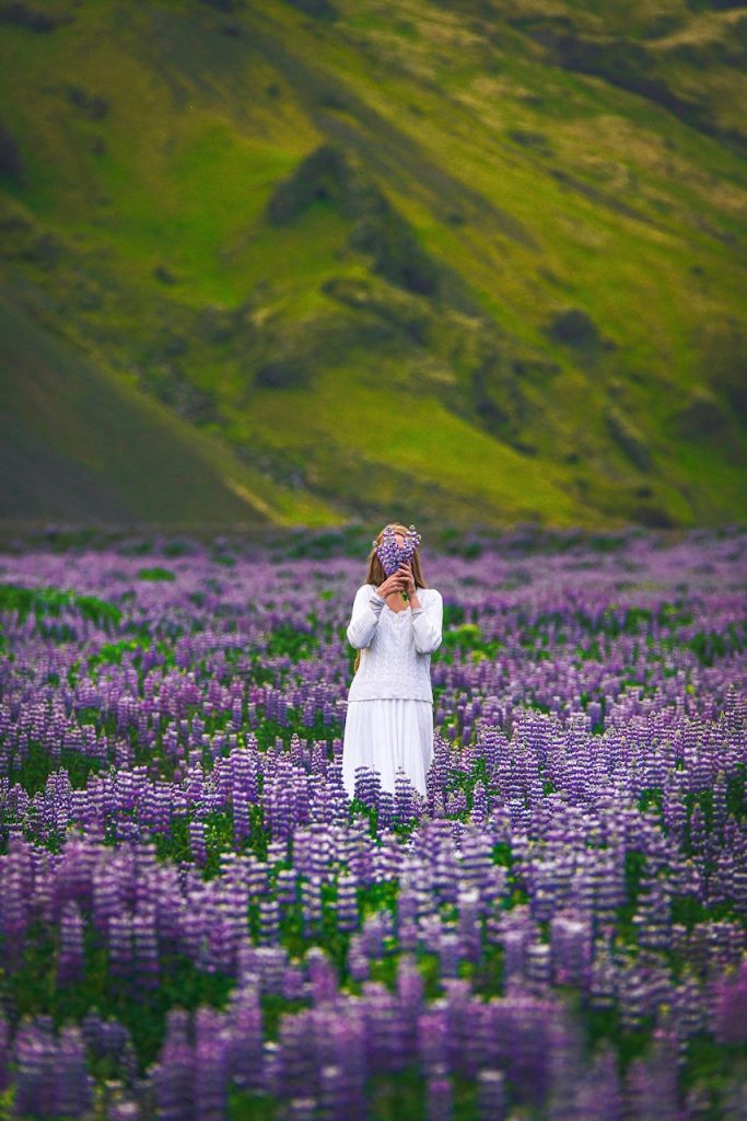 woman in a field of lavender