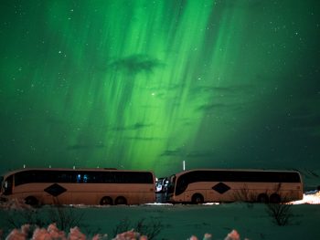 busses for a northern lights tour in iceland