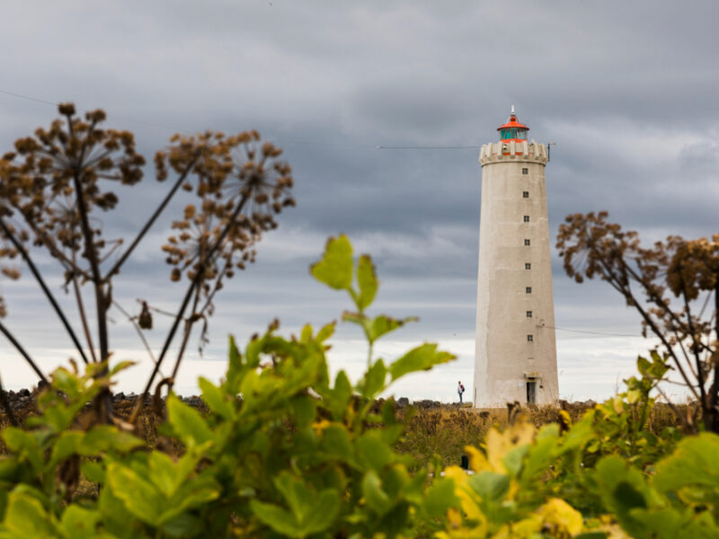 A lighthouse located on the Seltjarnarnes Peninsula with foliage in the foreground.