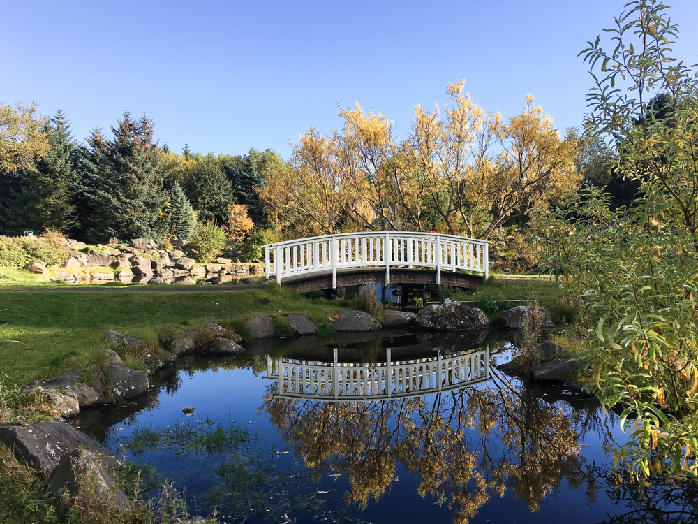 A footbridge over a pond in a park in Laugardalur.