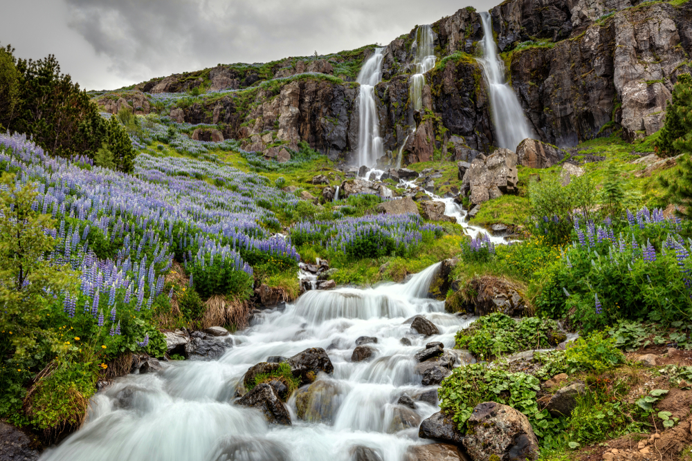 Photo of Summer in Iceland.