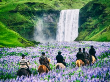 People riding horses in Iceland in an article about the best tours in Iceland