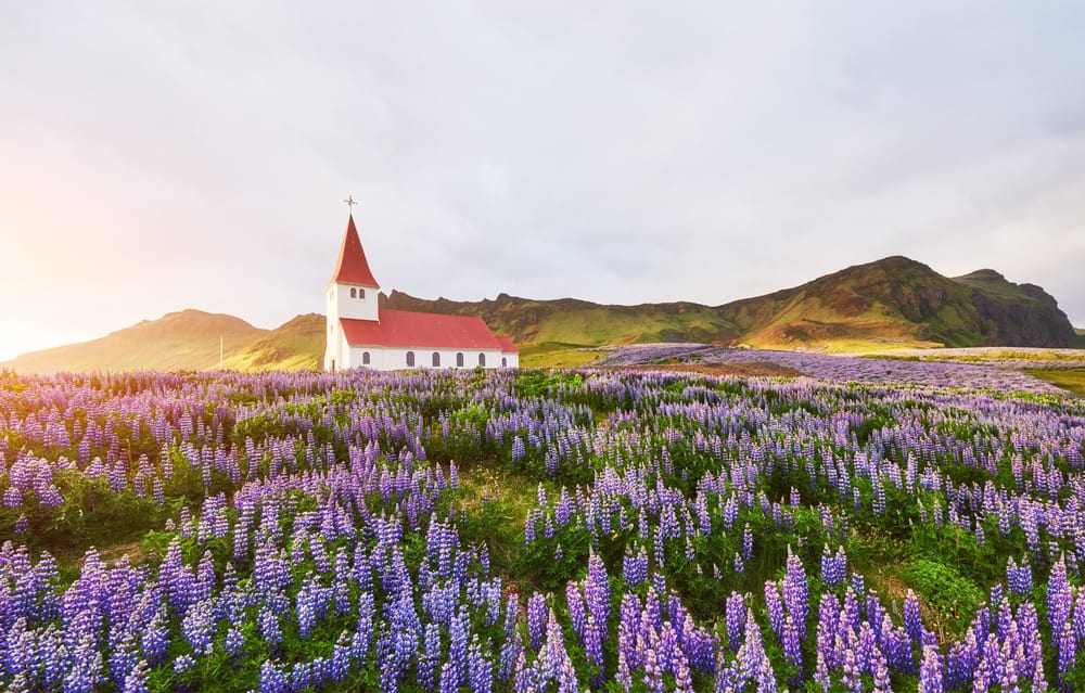 Vik i Myrdal Church is one of the most photographed churches in Iceland