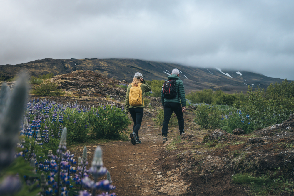 7 Things To Know Before Visiting Iceland In August Iceland Trippers