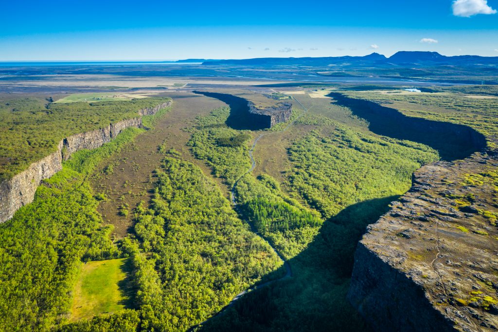 forest in asbyrgi canyon in north iceland