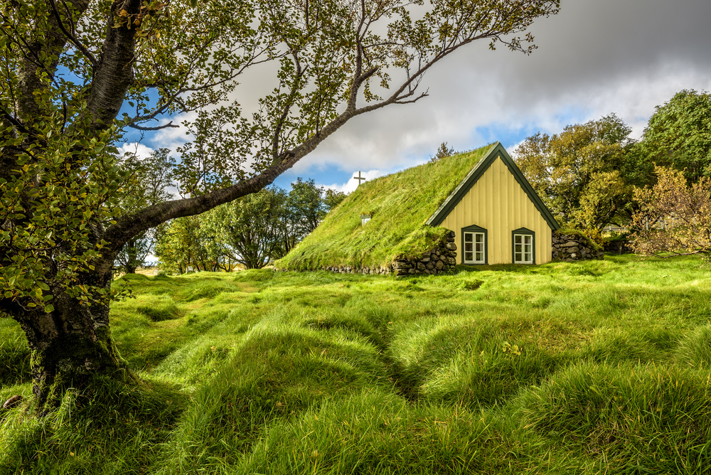 Turf-Roof Hofskirkja Church in grassy field.