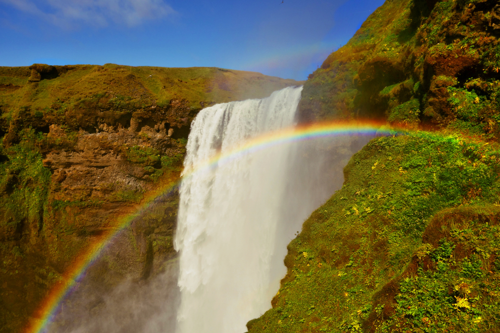 skogafoss waterfall in iceland with a rainbow in front of it on a sunny day