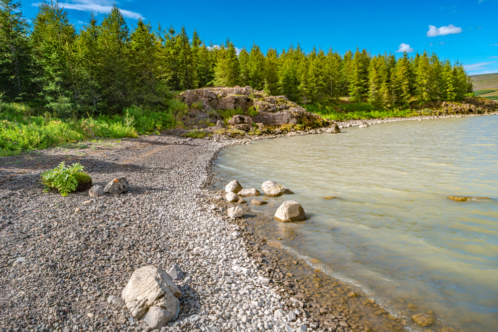 Hallormsstadur National Forest is a great place to hike in Iceland.