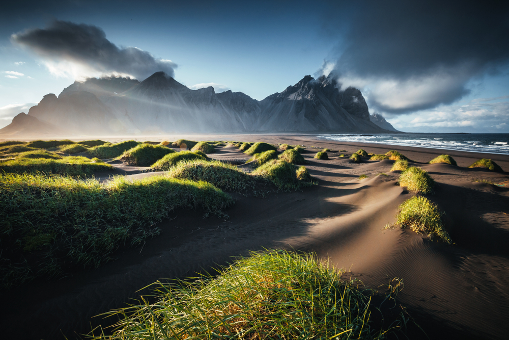  sunrise on black sand beach with grass tuffs in the foreground with the ocean and a large mountain in the background in iceland in spring