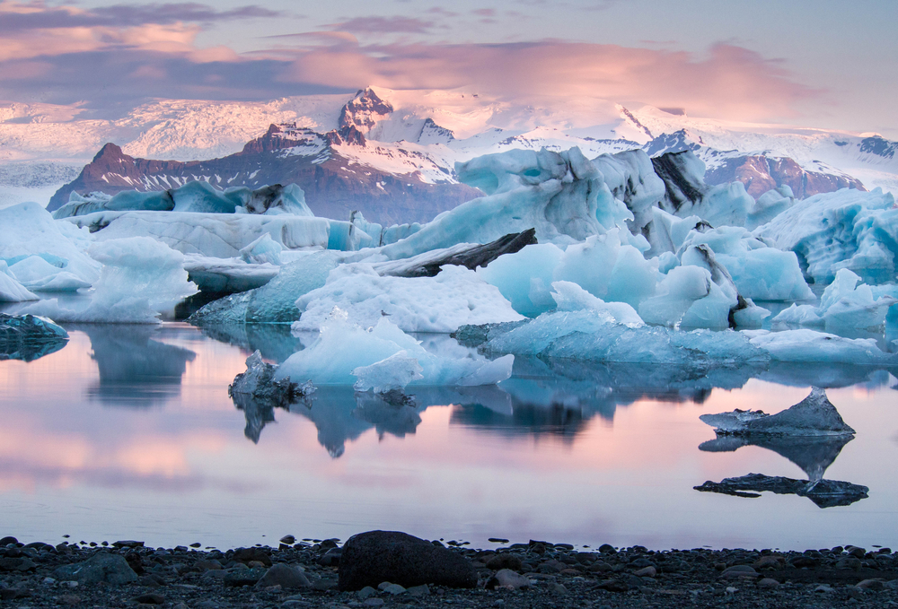 Jokulsarlon Glacier Lagoon with many icebergs and pretty pink color in the sky and water.