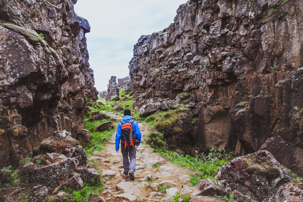 A person wearing a blue shirt, gray pants, and an orange backpack hiking down a stone path between two massive tectonic plates. There is grass and ferns growing on the ground around the plates. One of the best things to do in Thingvellir National Park.