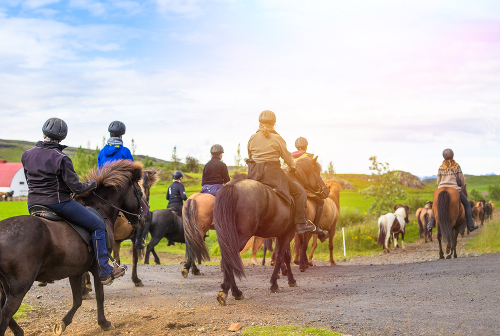 A group of people horseback riding in a Icelandic landscape. The grass is very green and they are crossing a paved road. 