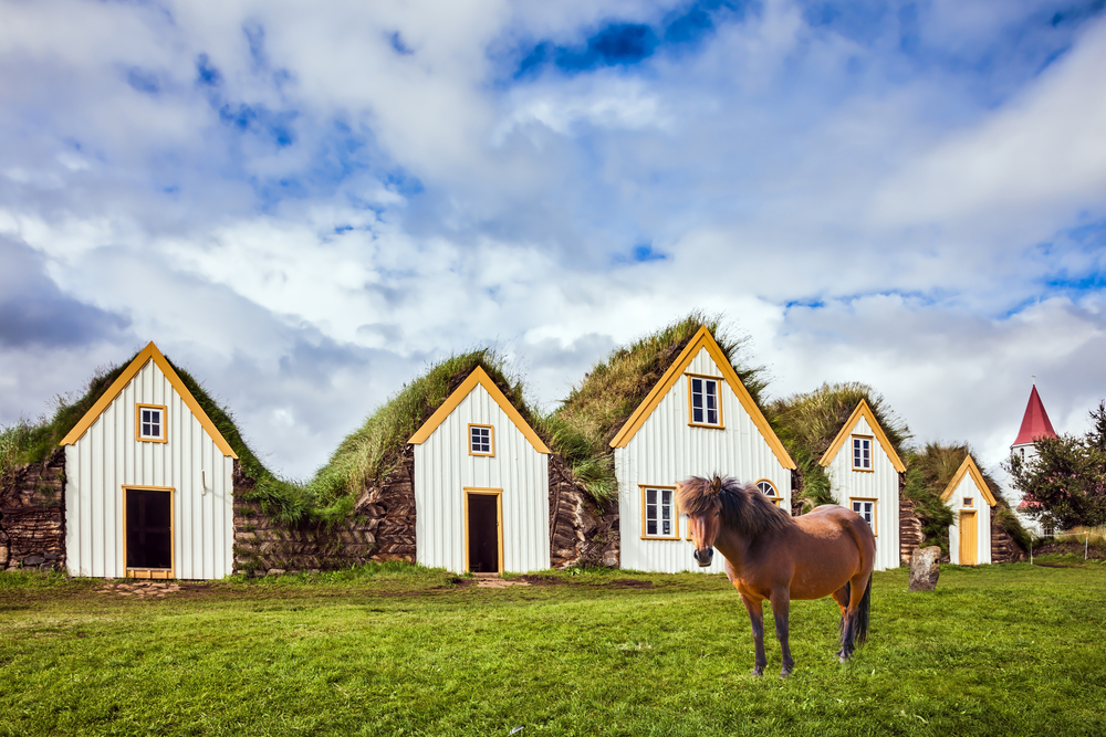 an Icelandic horse in front of some white and yellow turf houses