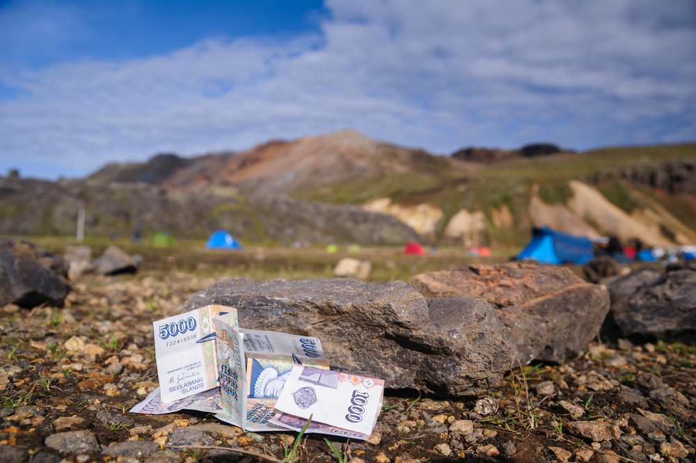 Icelandic krona lying on the ground by some rocks at a campsite