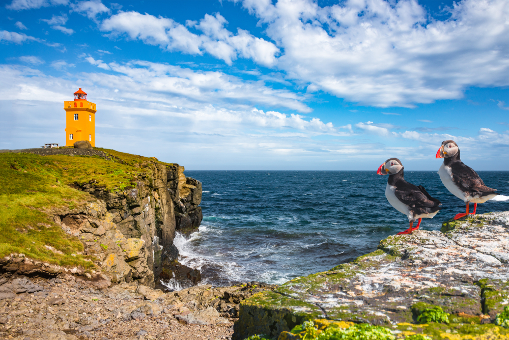 Grimsey Island is special as it is the only part if Iceland that is truly in the Arctic, meaning is it popular with visitors as many come to just have their passports stamped in recognition!