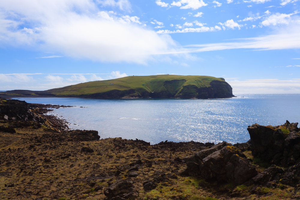 Surtsey is not only one of the most studied islands in Iceland, but in the whole word! Because it is such a new island, scientists, botanists, and biologists have been able to study it since its creation. 