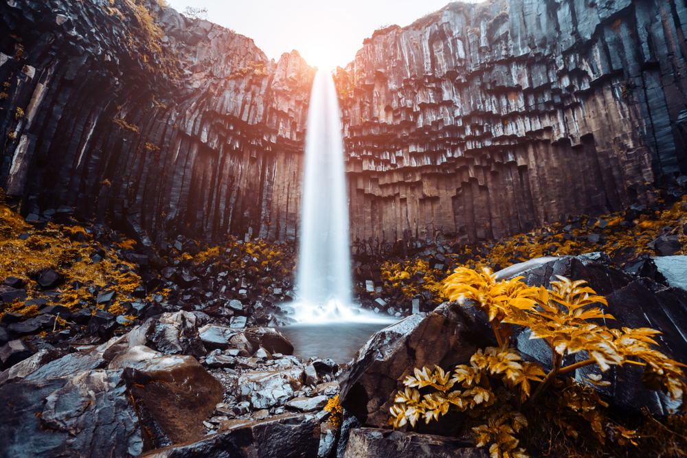 the Svartifoss waterfall from up close with the backdrop of the organ pipe-like basalt columns