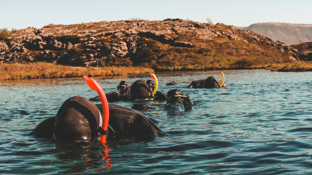 The tops of heads and snorkels are only visible above the sealevel of the silfra fissure tour in iceland