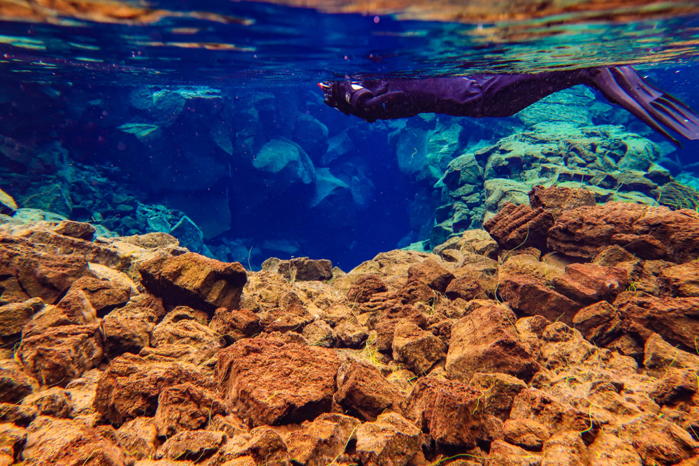 A man floats along in a wetsuit and flippers, close to the shelves of the tectonic plates at the silfra fissure snorkeling tour in iceland