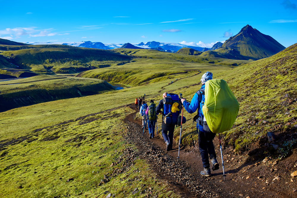 A group of hikers walk down a dirt path into the green hills of Iceland.