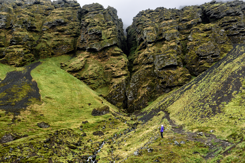 stunning canyon in west iceland covered in green