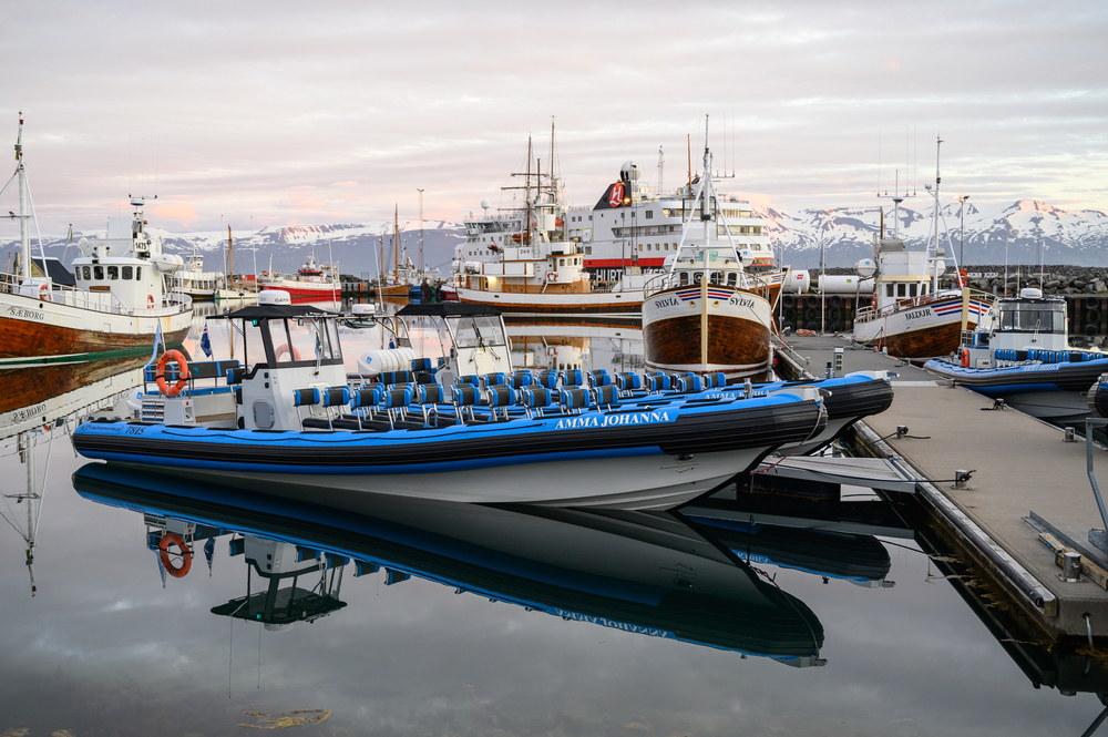 boats used for whale watching in Iceland that are docked in Husavik