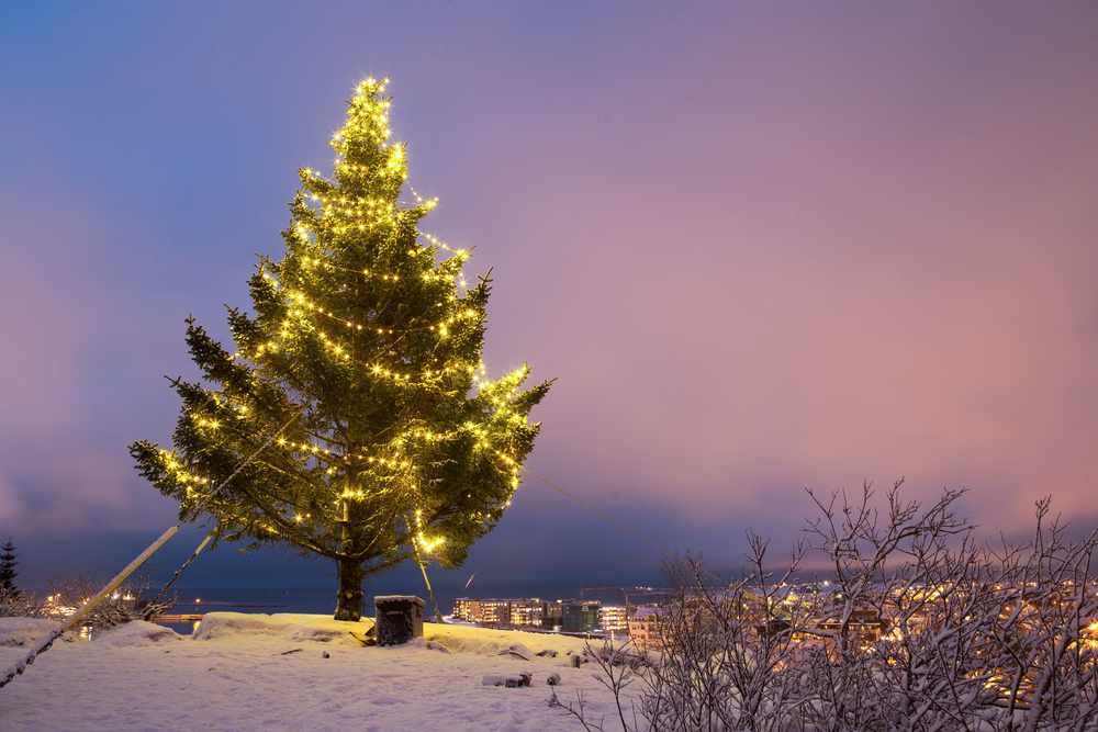 A tree with yellow Christmas lights on a snowy hillside overlooking the lights of a town.