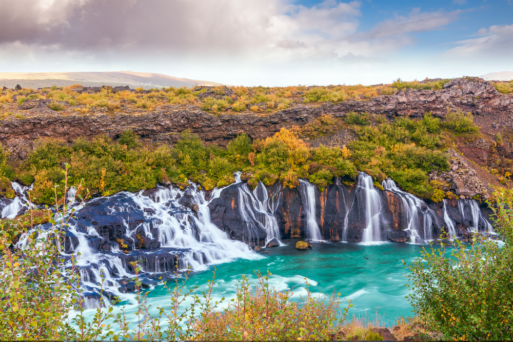 The many streams of Hraunfossar Waterfall flowing into blue water surrounded by green and yellow foliage.