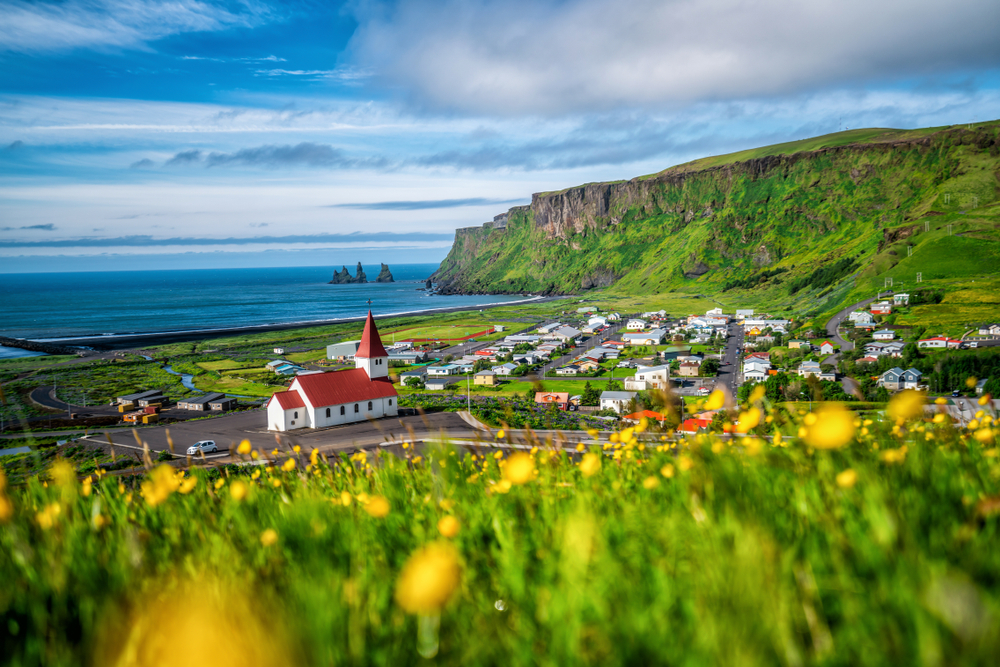 Looking down at the town of Vik with yellow flowers in the foreground and the church and ocean in the distance.
