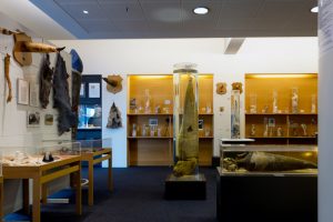 15 Best Museums In Iceland You Shouldn't Miss - Iceland Trippers