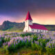 A white church in a field of purple flowers with a red roof in Vik, Iceland. You'll see it if you take the drive from Reykjavik to Vik.