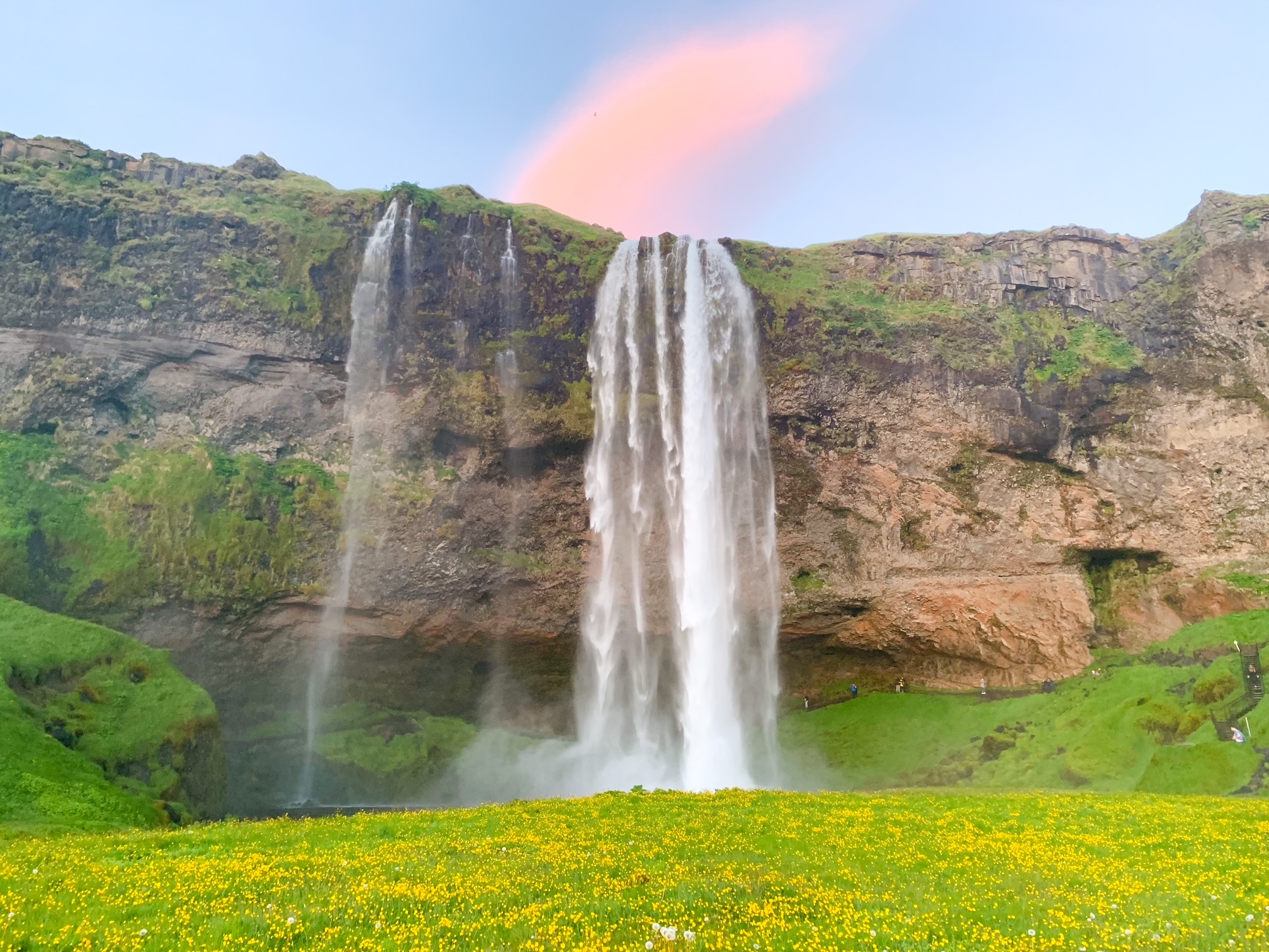 A waterfall crashing over the side of a rocky cliff with grass growing on it. There is a field with yellow flowers in front of the waterfall. 