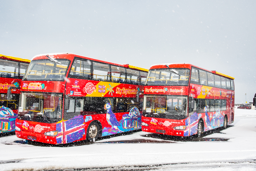 The hop on hop off bus tour in reykjavik in snowy mountain conditions 