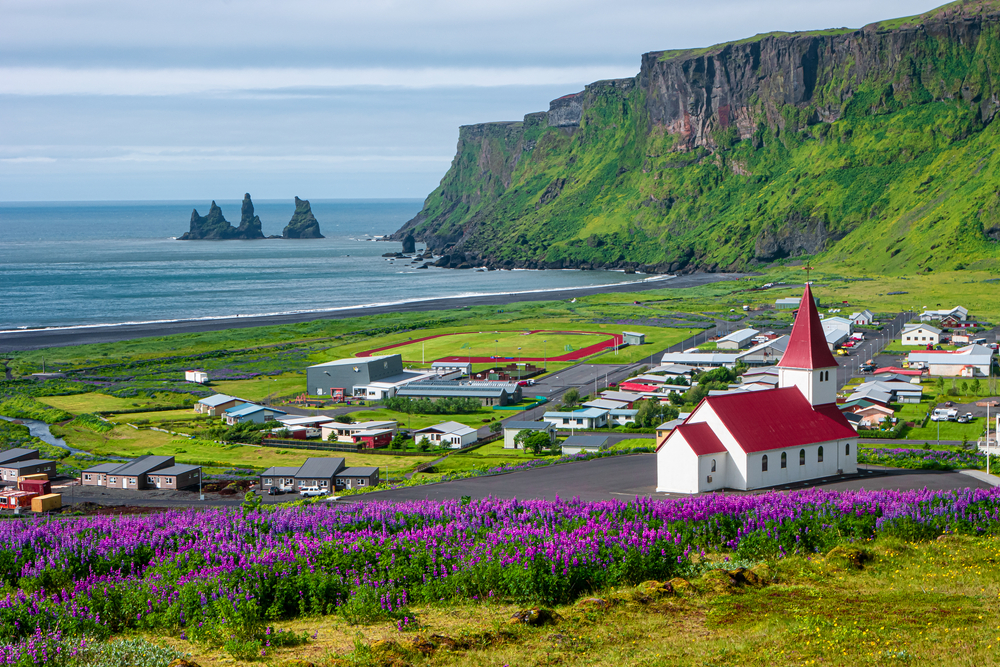 The small village of Vik on the seaside of Iceland with a church, flower fields, and other buildings. 