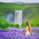 woman standing among lupines in iceland in june