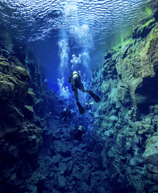 four snorkelers swimming in the clear water of the Silfra Fissure