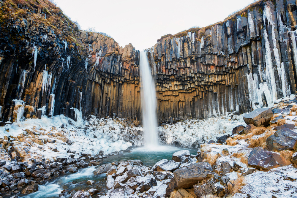 Svartifoss waterfall with basalt columns framing it and icicles and snow surrounding it