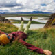 A woman lays in the greenery during her hike in Iceland, enjoying knowing what to wear in Iceland in may in her windbreaker, green pants and beanie.