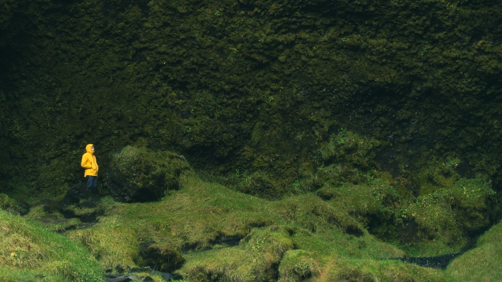 A tourist stands amongst the greenery during a hike in Iceland, wearing a yellow rain jacket and hiking boots.