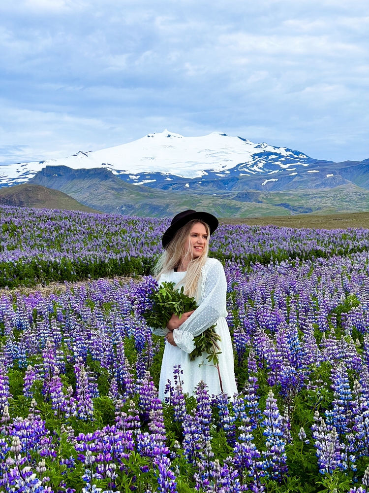 A young blonde woman knows what to wear to Iceland in July within the lupines: she holds the purple flowers as she wears a long sleeved white dress and dark black hat.