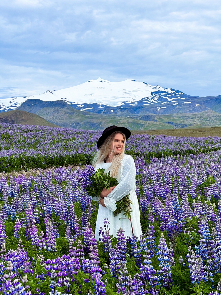 A young woman in a long-sleeved white dress and a black hat holds purple flowers and she stands in the Lupine fields, snow capped mountains in the distance. 